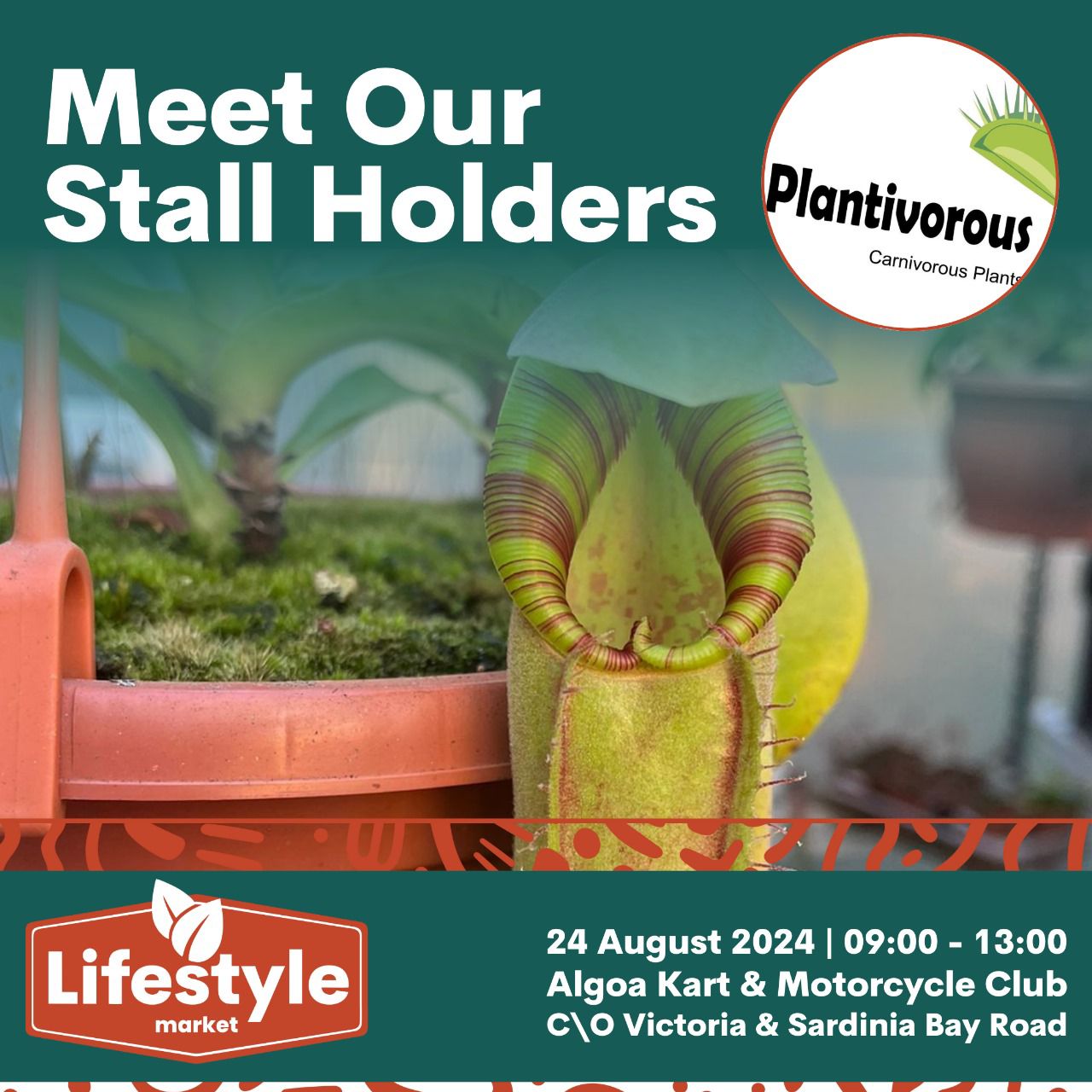 Lifestyle Market-Plantivorous