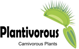 Plantivorous