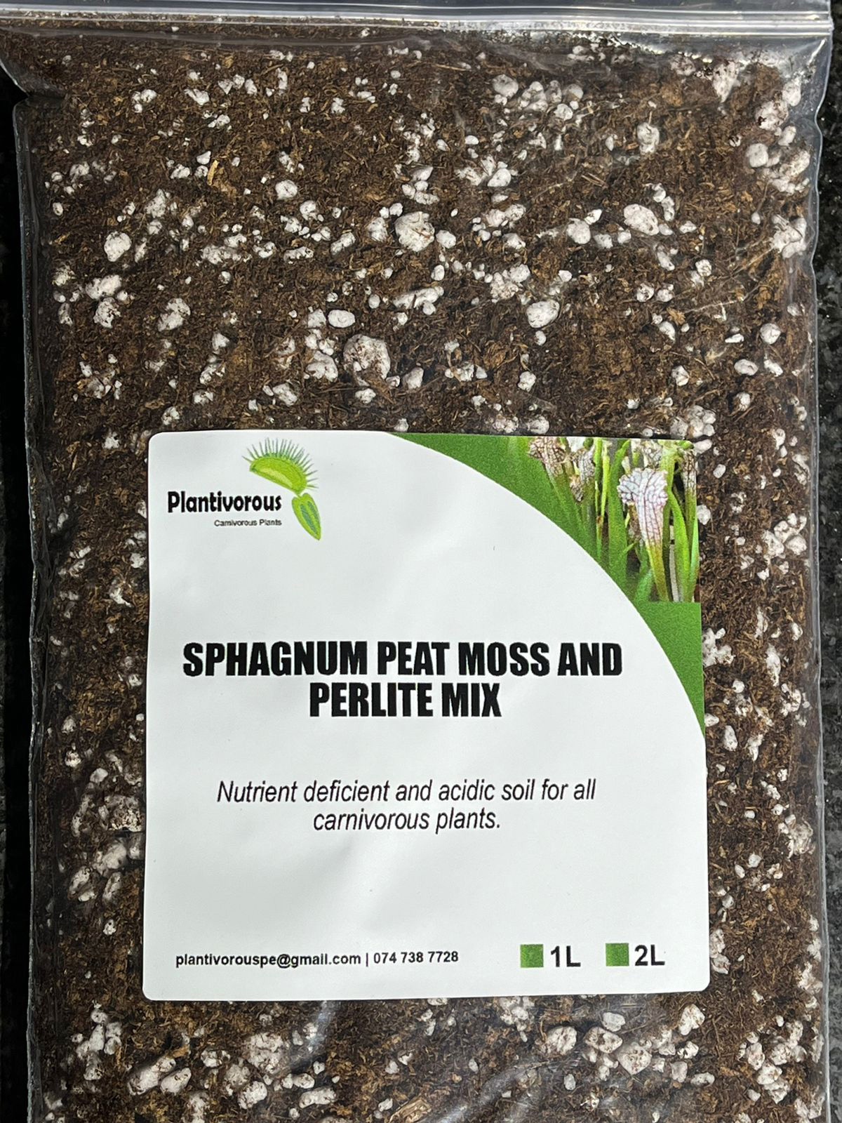 Sphagnum Moss